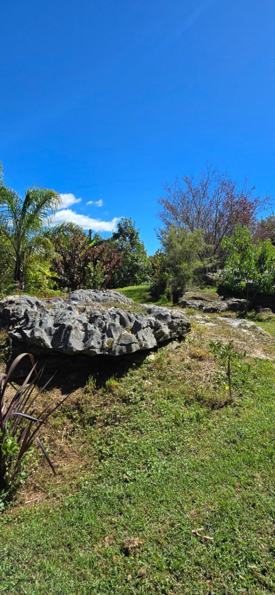 The Rocks Chalets Takaka Exteriér fotografie